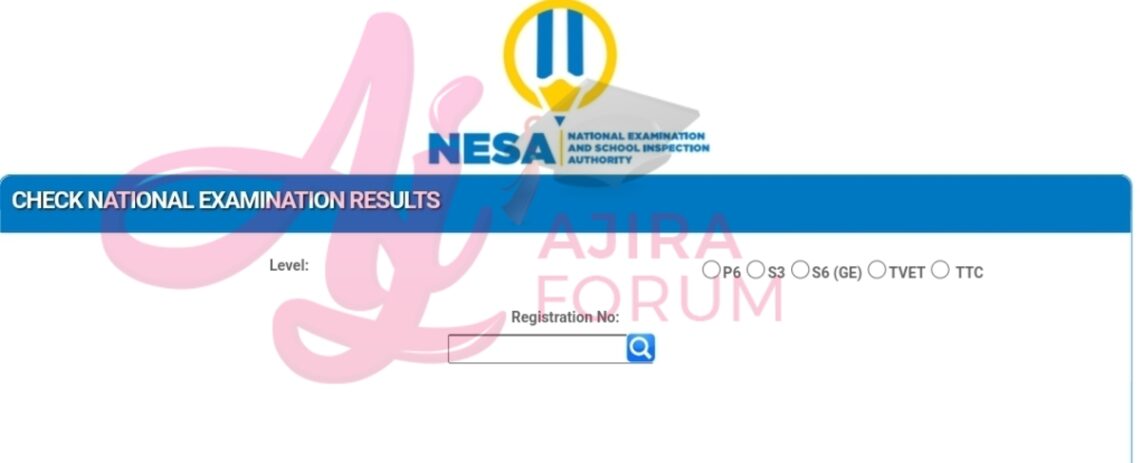 Nesa Results Level P S S Tvet Ttc At