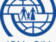 Job Vacancies At International Organization for Migration-CONSULTANCY FOR DEVELOPING- EDITING AND DESIGNING OF TECHNICAL PROGRAMME REPORTS