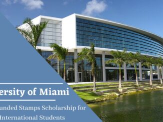 Stamps Undergraduate Scholarship