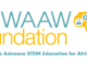 WAAW Foundation 2020/2021 STEM Scholarship for Need-Based African Female Students.