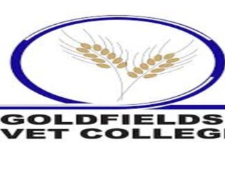 Goldfields TVET College Prospectus 2021/2022 pdf download