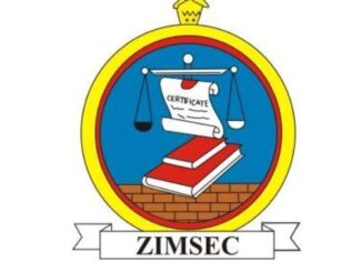 zimsec-grade-seven-results-for-november-2020-out