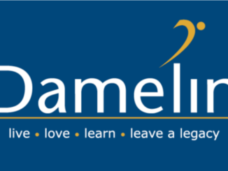 Damelin Courses/ Faculties And  Entry Requirements PDF Download