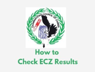 How to Check 2021 ECZ Grade 7 and 9 e-Statement of Result PDF Download 2022