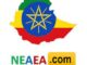 Neaea Exams Results 2021-2022 Grade 8, Grade 10, Grade 12