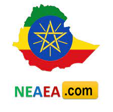 Neaea Exams Results 2021-2022 Grade 8, Grade 10, Grade 12