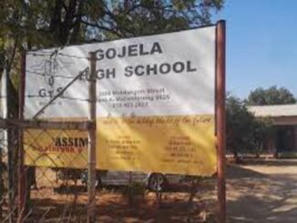 Gojela High School Matric Results | Fees | Admissions | Subjects | Contact Details| Exams and Test Timetable