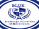 Blessing University of Excellence (BLUE) Courses offered | Fee Structure |Bank Details| Admission Entry Requirements
