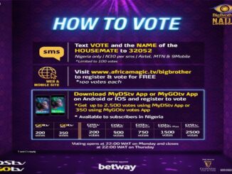 How to Vote BBNaija Big Brother Naija S7 2022/2023