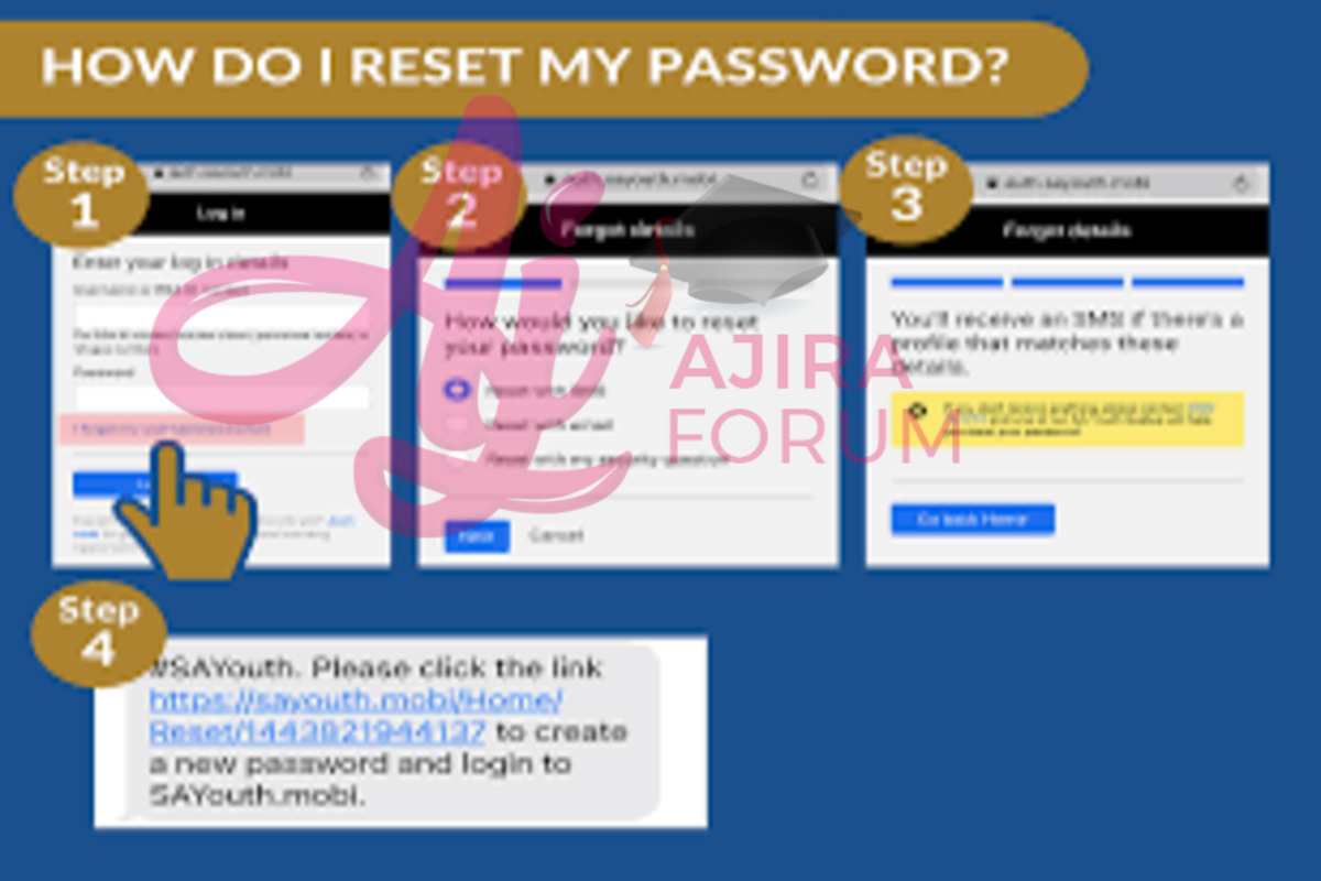 How to reset password on SA Youth Mobi Application Portal