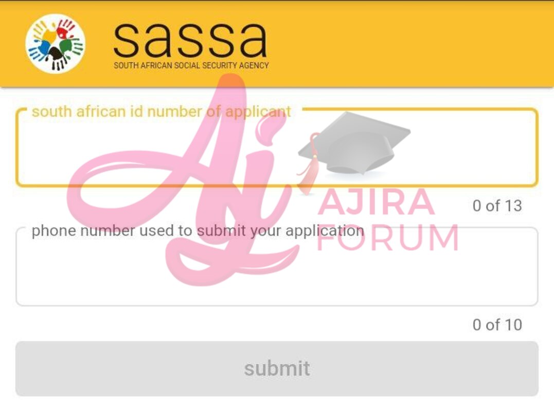 How to reset your Sassa pin online