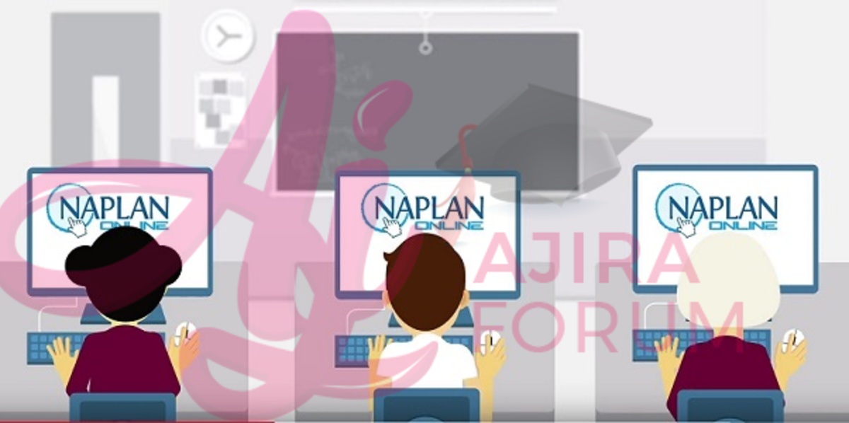 How to check NAPLAN results 2022 by school