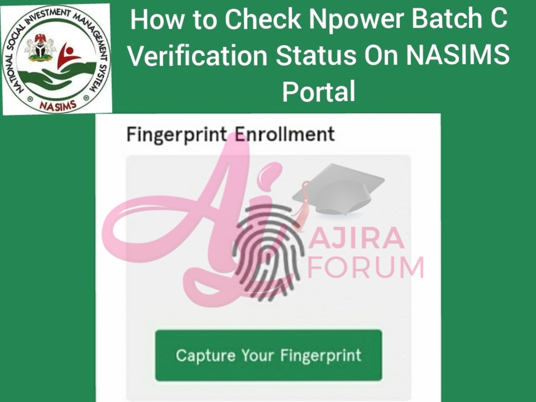 How to Check Npower Batch C Verification Status On NASIMS Portal | www.nasims.gov.ng