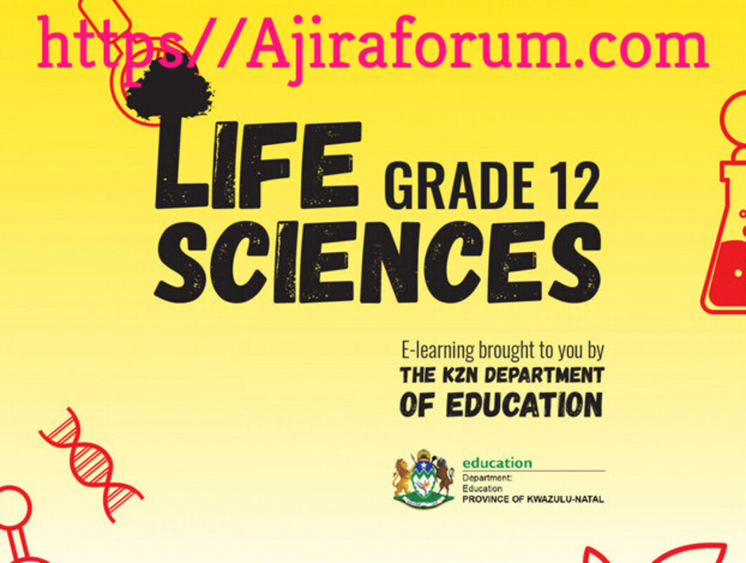 Life Sciences Grade 12 2022 September Term 3 Controlled Test Question Papers and Memos Paper 1 and Paper 2