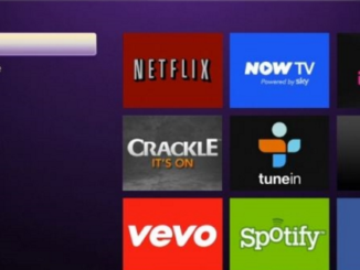 Netflix Keeps Crashing on Roku – How To Fix