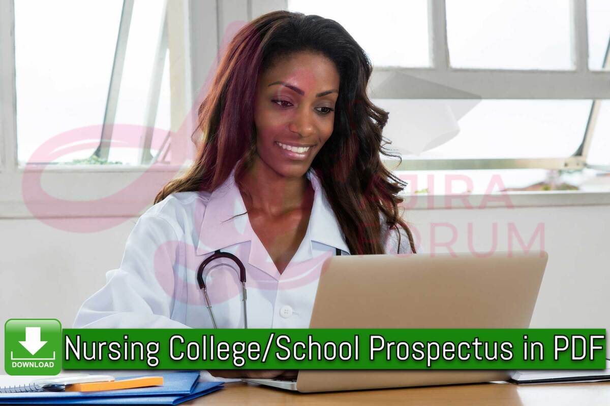 Seshego Hospital Nursing School Prospectus PDF Download
