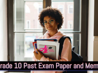 Business Studies Grade 10 Term 4 November 2019 past papers and memos Pdf Download