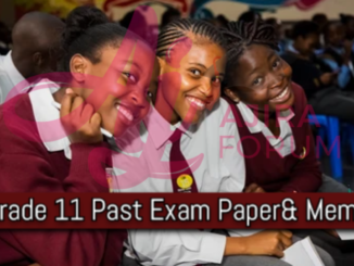 Accounting Grade 11 Controlled Tests and Exam Past Papers and Memos for Revision