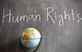 Is the Government doing enough to ensure that Human Rights are protected