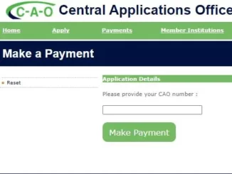 How pay CAO application fee online