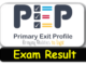 PEP Grade 6 Results 2023 | Jamaica Primary Exit Profile Exam result placement score