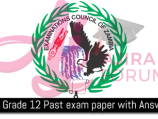 ECZ Chitonga Grade 12 Past Exam Paper with Answers Paper 1& 2 GCE Zambia PDF Download