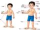 Grade 4 Lesson:Why my Body is Important to me