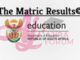 How to Check Matric Results Online with ID Number 2023/2024