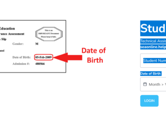 SEA Student Results Portal Login & Verification