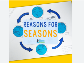 Five Aspects that you could Teach Based on the Topic of Seasons