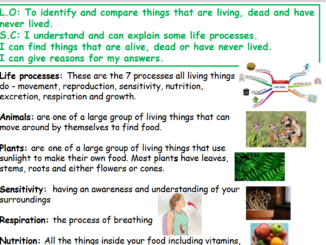 7 Life Process Lesson for Grade 4