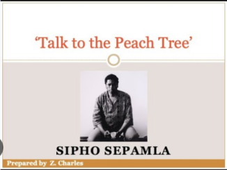 Talk to the Peach Tree" by Sipho Sepamla analysis Line by Line Questions and Answers