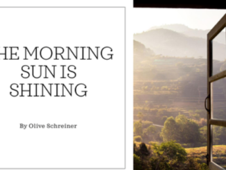 The Morning Sun is Shining" Poem by Olive Schreiner analysis Line by Line Questions and Answers Essay PDF Download