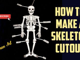 How to Make a Human Skeleton for School Project Grade 5 and Grade 6