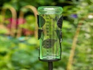 Rain Gauge