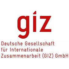 Nafasi 2 za kazi GIZ-Advisor Digital Hospitals