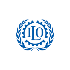 Nafasi za kazi ILO-National Project Coordinator - NOB (DC)