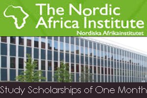 Nordic Africa Institute Scholarship Programme 2021 for Africa-oriented studies/research