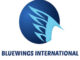 Nafasi za kazi Bluewings International-Marketing Volunteer
