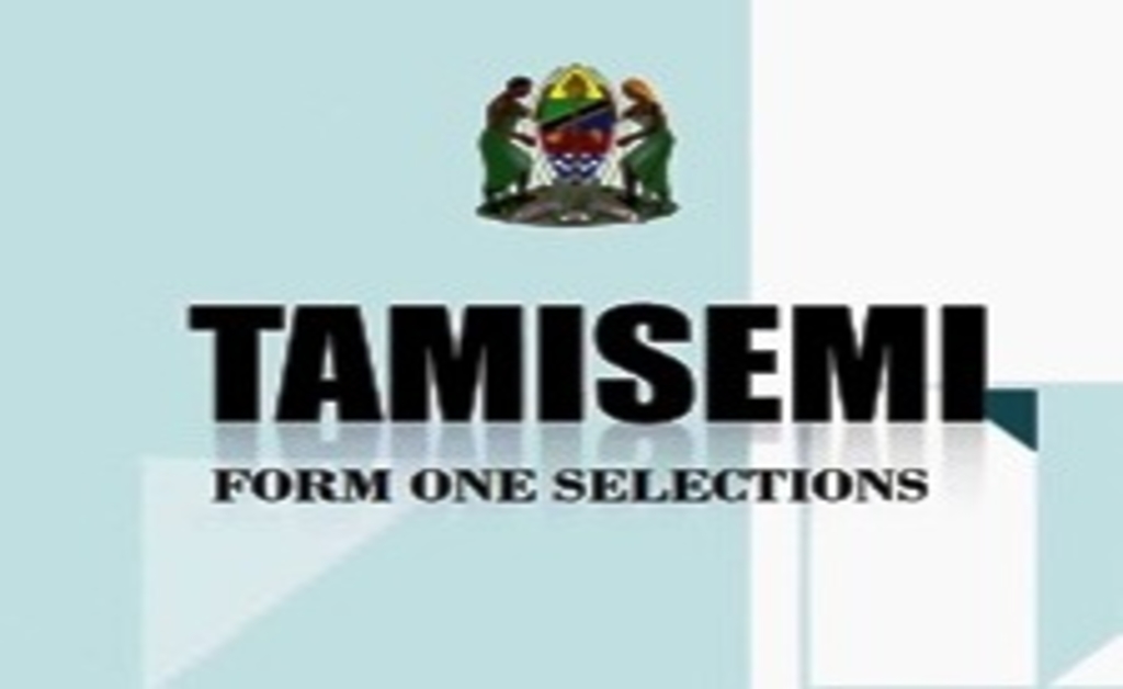 Tamisemi Majina ya Wanafunzi waliochaguliwa kujiunga kidato cha kwanza Mkoa wa  Iringa 2021 | PDF Form One Selections 2021 Iringa Region