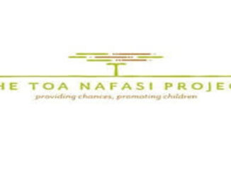Job Opportunity at Toa Nafasi Project-Executive Director