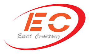 Job Opportunity at Expert Consultancy Tanzania - Director of Engineering
