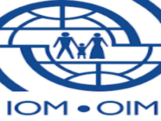 Nafasi za kazi IOM-Junior Consultant – Migration Data and Research