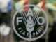 Job Opportunity at FAO-National Consultant on ASSP I assessment and formulation of ASSP II- for the Crops sub-sector