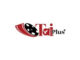 Job Opportunity at Tai Plus-Accountant