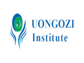 Job Opportunity at UONGOZI Institute - Research and Policy Intern
