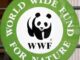 Job Opportunity at WWF-Leader-Living with Big Cats Initiative