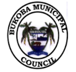 2 New Government Job Opportunities at BUKOBA District Council