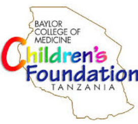 Job Opportunity at Baylor Foundation Tanzania-Chief of Party February 2021