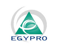 Job Opportunity at Egypro East Africa Ltd-Project Manager